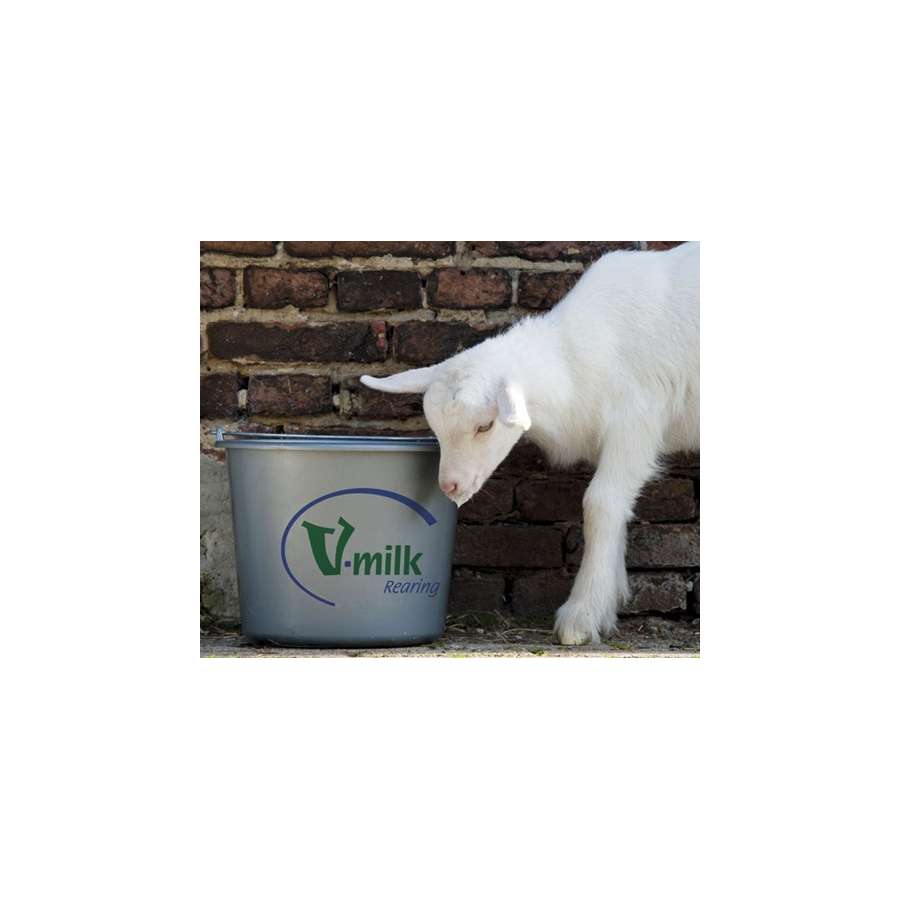 Quantite De Lait Bu Par Un Agneau