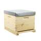 Ruche 10 cadres Plus