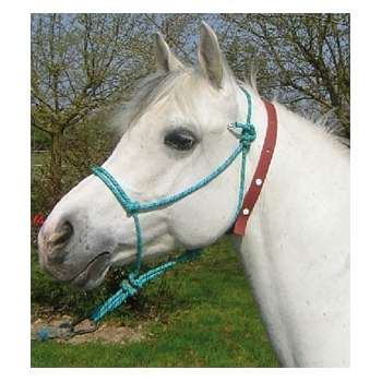 COLLIER ANTI-INSECTES CHEVAUX